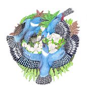 Caza y vuelo. Un projet de Illustration naturaliste et Illustration traditionnelle de Cynthia Denisse - 11.03.2023