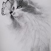 My project for course: Expressive Drawing with Charcoal. Fine Arts, Drawing, Portrait Drawing, and Naturalistic Illustration project by Serene - 04.17.2023