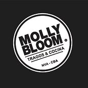 Resto-Bar Molly Bloom . Design, Interior Design, Interior Architecture, Product Photograph, Advertising, and Graphic Design project by Leandro Fregoni Quintar - 07.01.2018