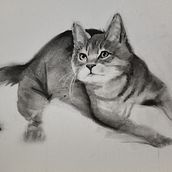 My project for course: Expressive Drawing with Charcoal. Un proyecto de Bellas Artes, Dibujo, Dibujo de Retrato e Ilustración naturalista				 de Sue Higgerson - 19.04.2023