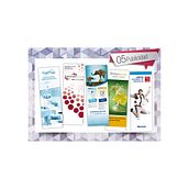 Portfolio - Publicidad. Un proyecto de Diseño gráfico, Publicidad y Retoque fotográfico de Jaime Ocaña Pastor - 20.04.2023