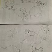 Mein Abschlussprojekt für den Kurs: Dynamische Tierillustration für Kindergeschichten. Character Design, Pencil Drawing, Drawing, and Children's Illustration project by Juliane Buneß - 04.20.2023
