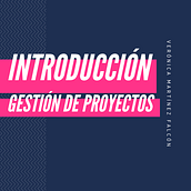 Mi proyecto del curso: Introducción a la gestión de proyectos. Creative Consulting, Marketing, and Design Management project by Veronica Martinez - 04.14.2023