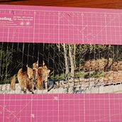 Mi proyecto del curso: Collage geométrico sin anestesia. Fine Arts, Collage, and Paper Craft project by sabinekutt - 04.20.2023