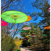 My project for course: Travel Photography with Mobile Phone for Beginners . % gerrihart91 tarafından hazırlanan Mobil Fotoğrafçılık, Açık Hava Fotoğrafçılığı & Instagram Fotoğrafçılığı projesi - 04.20.2023