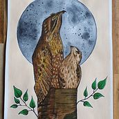 2 Urutaus watercolor illustration. Un progetto di Illustrazione tradizionale e Pittura ad acquerello di Izabela de Lima - 21.04.2023