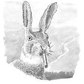 My project for course: Introduction to Illustration with India Ink. Ilustração tradicional, Artes plásticas, Desenho e Ilustração com tinta projeto de Frank Dellario - 19.04.2023