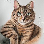 Mój projekt z kursu: Ekspresyjne portrety zwierząt w akwareli. Un proyecto de Ilustración tradicional, Pintura a la acuarela, Dibujo realista e Ilustración naturalista				 de lila_szklener - 20.04.2023