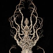 From the Fossils from the Future series 2004 to present . Fine Arts, and Sculpture project by lauriehassold - 04.22.2023
