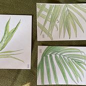 Meditative botanical drawing. Watercolor Painting project by Yuki K - 04.22.2023