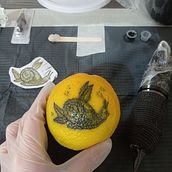 Mi proyecto del curso: Tatuaje para principiantes. Tattoo Design project by Shirley Liz Atherton Lagos - 04.22.2023