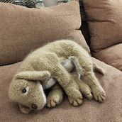 Mi proyecto del curso: Tejido de animales de peluche realistas: crea un cachorro de hilo. Fiber Arts, DIY, Knitting, and Textile Design project by nataliaboric - 04.21.2023