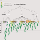 My project for course: Creative Data Visualization for Narrative Designs Ein Projekt aus dem Bereich Grafikdesign, Informationsdesign, Interaktives Design und Infografik von srushtigh123 - 24.04.2023