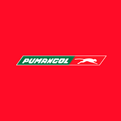 Pumangol Logo Animation. Un progetto di Motion graphics e Pubblicità di Divaldo Barbosa - 23.04.2023