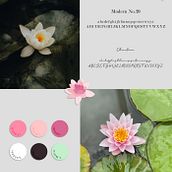 Rosa del Nilo - Branding . Br, ing, Identit, and Graphic Design project by Beatriz Fernández Jimenez - 04.20.2022
