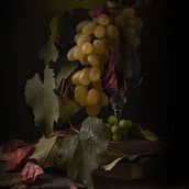 Grapes. Photograph project by l'Arna Papy - 04.26.2023