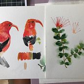 My project for course: Expressive Animal Portraits in Watercolor. Traditional illustration, Watercolor Painting, Realistic Drawing, and Naturalistic Illustration project by p_swannell - 04.27.2023