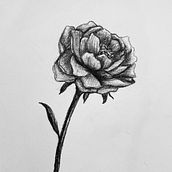 D.A: Projecte Identitat. Un projet de Illustration traditionnelle de Carla Sancho Medina - 27.04.2023