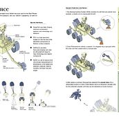 Perseverance: Information Design for Editorial Infographics. Projekt z dziedziny Projektowanie graficzne, Projektowanie informacji, Projektowanie interakt, wne i Infografika użytkownika harini_kannan2491 - 27.04.2023