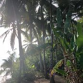 Mijn project van de cursus: Reisfotografie met je smartphone voor beginners Ein Projekt aus dem Bereich Smartphonefotografie, Außenfotografie und Fotografie für Instagram von Stephanie Janus - 27.04.2023