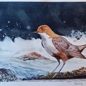 Arte e Natura. Un progetto di Pittura e Illustrazione tradizionale di Roberto Faraci - 27.04.2023