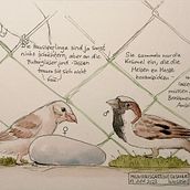 Seiten aus meinem Nature Journal. Traditional illustration project by radieschen - 04.27.2023