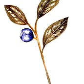 My project for course: Botanical Illustration with Watercolors. Traditional illustration, Fine Arts, Painting, Drawing, Watercolor Painting, and Botanical Illustration project by andreeacalin - 04.28.2023