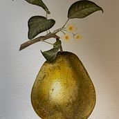My project for course: Realistic Botanical Illustration: Escape to Nature. Un progetto di Pittura, Pittura ad acquerello, Illustrazione botanica e Illustrazione naturalistica di amiejames1 - 29.04.2023