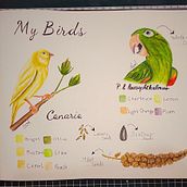 My project for course: Illustrated Travel Sketchbook: Recording Nature. Pencil Drawing, Drawing, Watercolor Painting, Sketchbook, and Naturalistic Illustration project by Mohamed Emadeldin - 04.29.2023