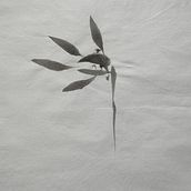 Introduction to Sumi-e Painting A course by Koshu , Artist and Teache. Traditional illustration project by llpaston - 04.29.2023