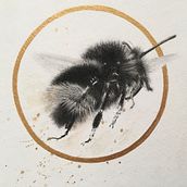 My project for course: Illustrating the Natural World with Watercolor and Charcoal. Traditional illustration, Painting, and Naturalistic Illustration project by Tiffany Travalent - 04.30.2023