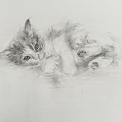 Mein Abschlussprojekt für den Kurs: Ausdrucksstarkes Zeichnen mit Holzkohle. Fine Arts, Drawing, Portrait Drawing, and Naturalistic Illustration project by evimi - 04.30.2023