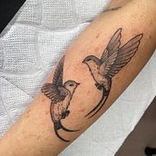 Mi proyecto del curso: Tatuaje fine line: la sutileza de la línea . % Vanessa Gonzalez tarafından hazırlanan Geleneksel illüstras, on, Çizim, Ve Dövme Tasarımı projesi - 05.01.2023