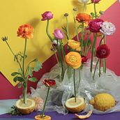 Il mio progetto del corso: Fotografia still life: tecniche di composizione e illuminazione. Een project van Fotografie,  Art direction, Fotografische postproductie,  Scenografie, Productfotografie,  Fotografische verlichting, Digitale fotografie y Fotografische compositie van Anna Laura Vitale - 01.05.2023
