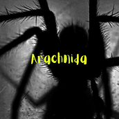Il mio progetto del corso: Introduzione alla scrittura di horror. Projekt z dziedziny Pisanie, Stor, telling i Narracja użytkownika Francesca Raviola - 02.05.2023