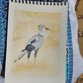 Mi proyecto del curso: Ilustración naturalista de aves con acuarela. Traditional illustration, Watercolor Painting, Realistic Drawing, and Naturalistic Illustration project by Mimi Fdez J - 04.15.2023