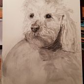 My project for course: Expressive Drawing with Charcoal. Fine Arts, Drawing, and Naturalistic Illustration project by adul - 05.02.2023