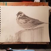 Wintertime. Traditional illustration, and Fine Arts project by adul - 05.02.2023
