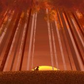 Evening forest scene. Un proyecto de Ilustración tradicional de bambsketches - 29.04.2021