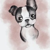 - Clover | Drawing of my dog . Traditional illustration project by Cassandra Chartrand - 05.03.2023