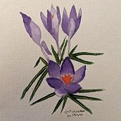 My project for course: Realistic Botanical Watercolor Drawing. Un projet de Design , Illustration traditionnelle, Beaux Arts, Peinture, Aquarelle et Illustration botanique de h2hanan - 01.05.2023