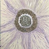 My project for course: Illustrating Nature with Watercolor and Pen. Watercolor Painting project by bagleydk - 05.03.2023
