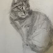 Mein Katze für den Kurs: Ausdrucksstarkes Zeichnen mit Holzkohle, L3. Fine Arts, Drawing, Portrait Drawing, and Naturalistic Illustration project by Franziska Schmid-Zehtner - 05.03.2023