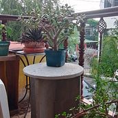 Mi proyecto del curso: Creación de muebles en concreto para principiantes. Arts, Crafts, Furniture Design, Making, Interior Design, Interior Decoration, and DIY project by Jaime Fuentes - 05.05.2023