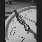 Breve storia di un'angheria. Stop Motion, Video, and Animation project by Valentina - 03.11.2023