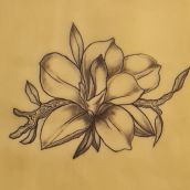 Mi proyecto del curso: Tatuaje para principiantes. Tattoo Design project by dialcaar13 - 05.05.2023