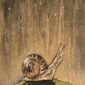 Snail done with watercolor and charcoal on wood.  Ein Projekt aus dem Bereich Traditionelle Illustration von rootsinthefloor - 05.05.2023