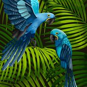 Il mio progetto del corso: Colorful birds. Digital Illustration, Digital Drawing, and Editorial Illustration project by Claudia - 05.06.2023