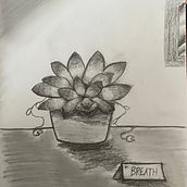 Plant😇😇. Traditional illustration project by Sofia McArdle - 04.22.2023