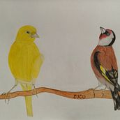 Trabajo Identidad 3 - Lápices de colores. Colored Pencil Drawing project by Sandra Lorenzo - 05.07.2023